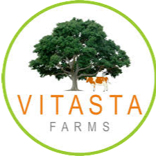 best dietitian in Delhi